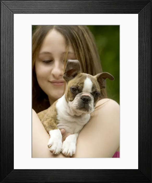 Framed Print : Picture No. 10770414 Framed Print : Picture No. 10770414