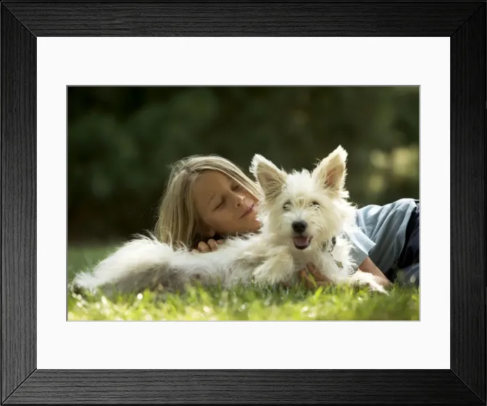 Framed Print : Picture No. 10770413 Framed Print : Picture No. 10770413