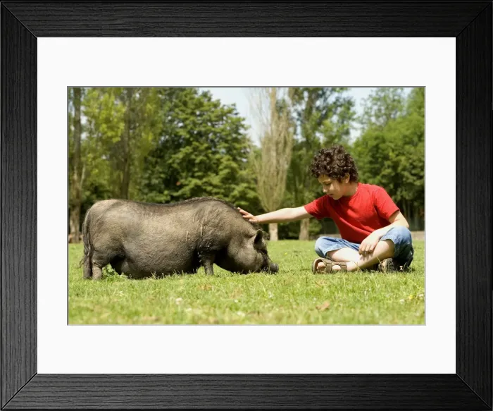 Framed Print : Picture No. 10770416 Framed Print : Picture No. 10770416