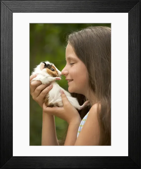 Framed Print : Picture No. 10770423 Framed Print : Picture No. 10770423