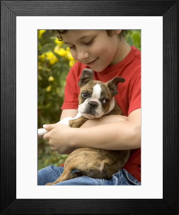 Framed Print : Picture No. 10770415 Framed Print : Picture No. 10770415