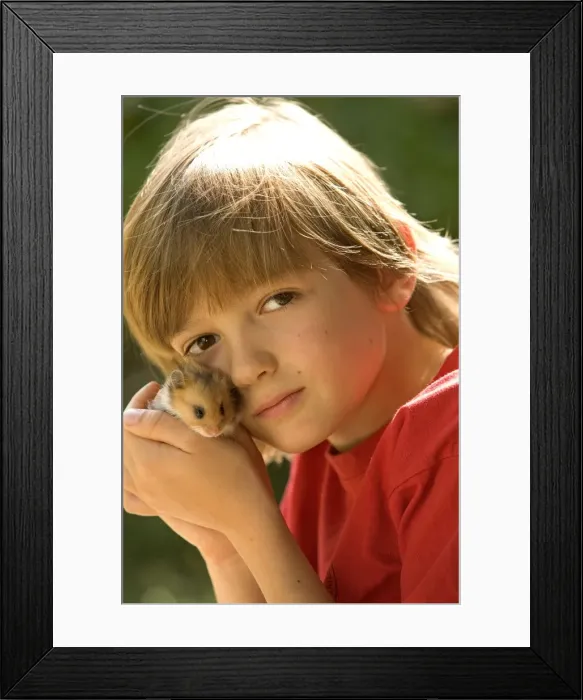 Framed Print : Picture No. 10770427 Framed Print : Picture No. 10770427