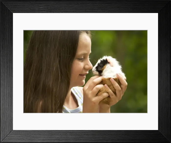 Framed Print : Picture No. 10770422 Framed Print : Picture No. 10770422