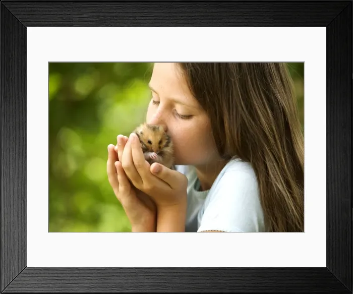 Framed Print : Picture No. 10770426 Framed Print : Picture No. 10770426