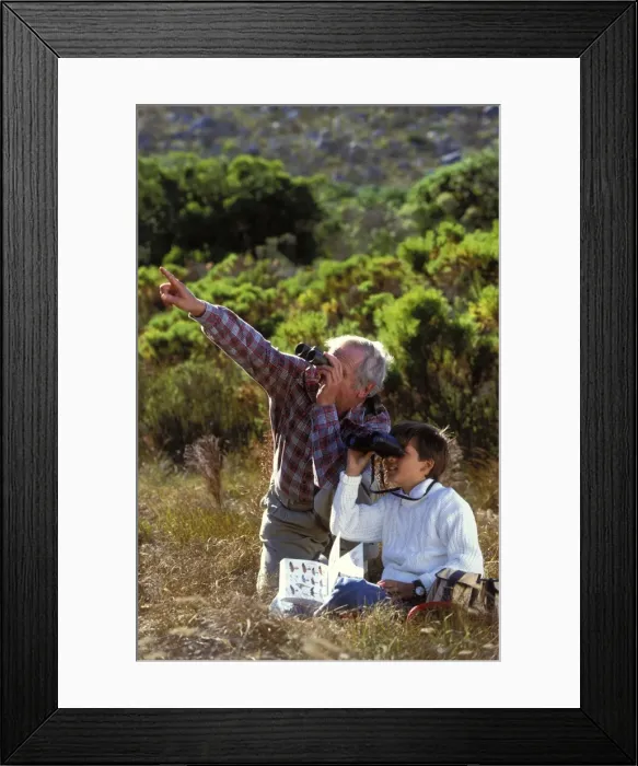 Framed Print : Picture No. 10770472 Framed Print : Picture No. 10770472