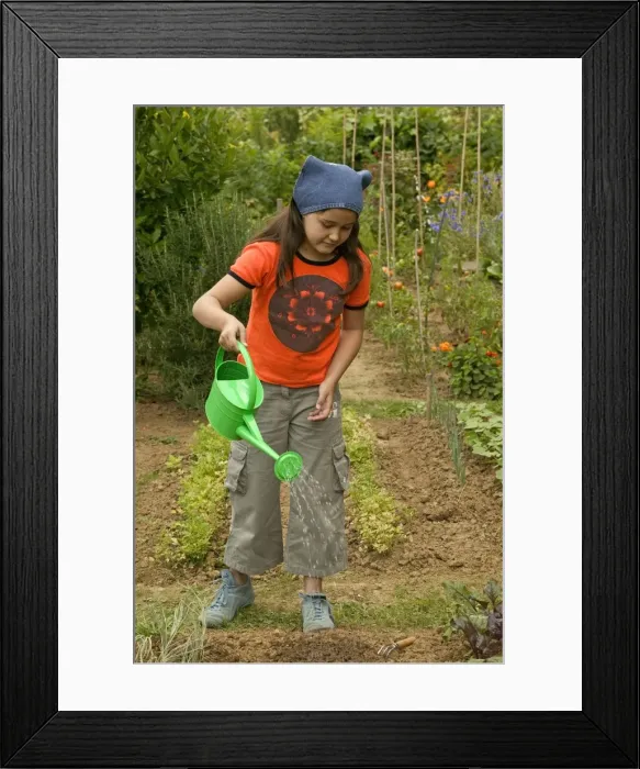 Framed Print : Picture No. 10770601 Framed Print : Picture No. 10770601