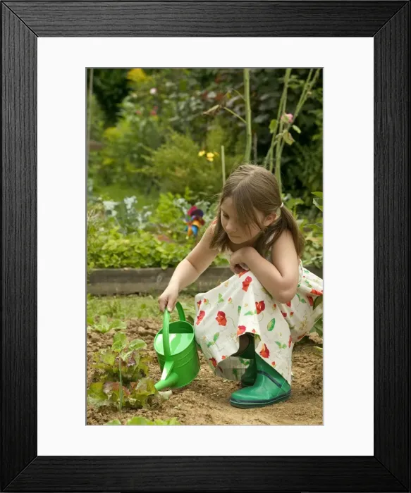 Framed Print : Picture No. 10770602 Framed Print : Picture No. 10770602