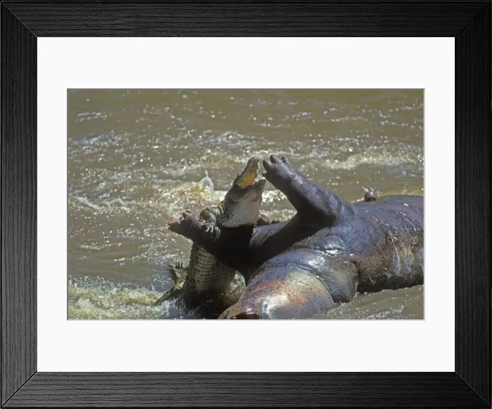 Framed Print : Picture No. 10770447 Framed Print : Picture No. 10770447