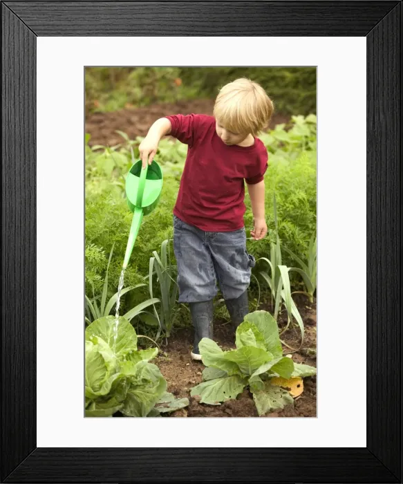 Framed Print : Picture No. 10770604 Framed Print : Picture No. 10770604