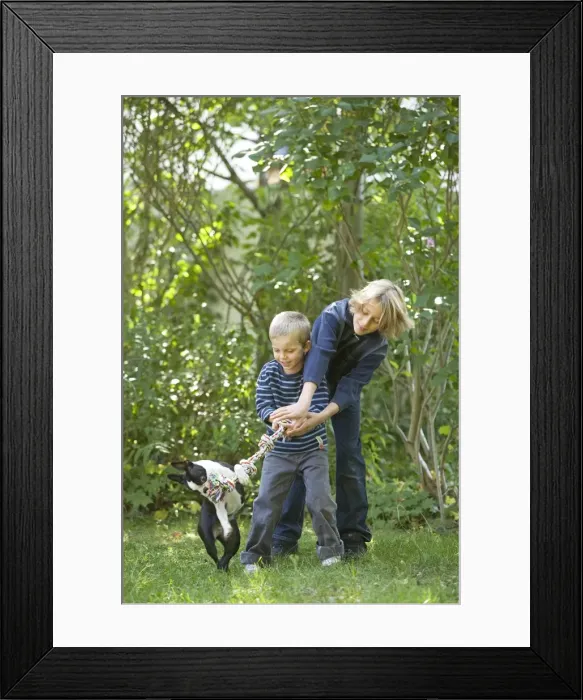 Framed Print : Picture No. 10770663 Framed Print : Picture No. 10770663