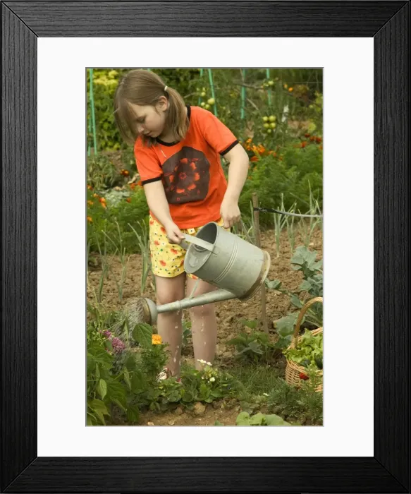 Framed Print : Picture No. 10770603 Framed Print : Picture No. 10770603