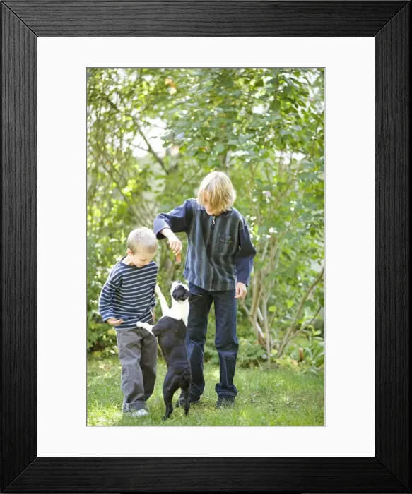 Framed Print : Picture No. 10770664 Framed Print : Picture No. 10770664