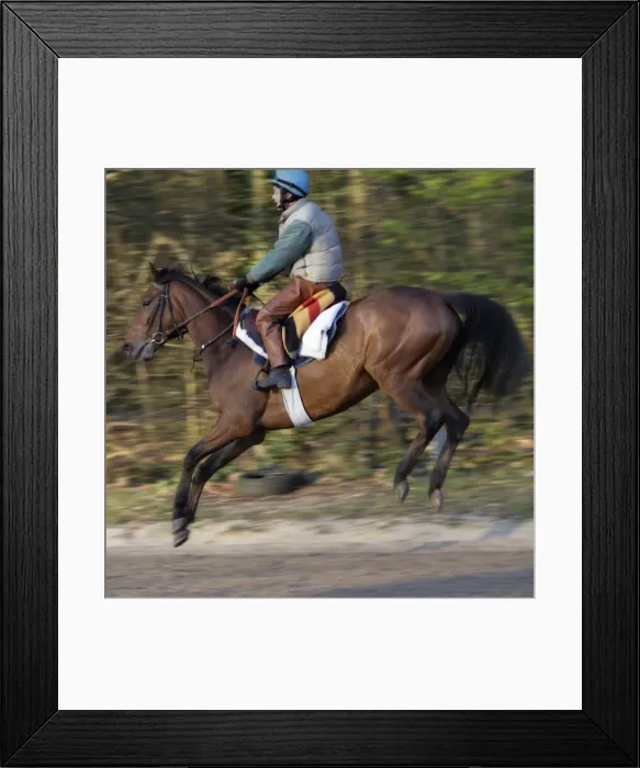 Framed Print : Picture No. 10770874 Framed Print : Picture No. 10770874