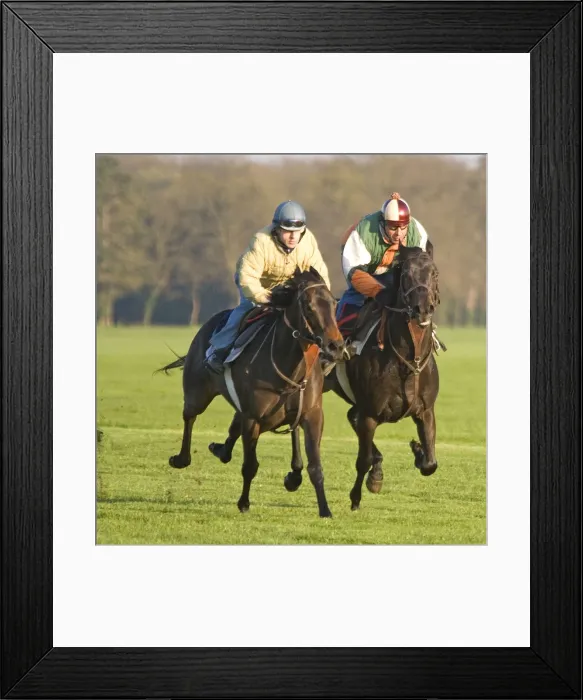 Framed Print : Picture No. 10770875 Framed Print : Picture No. 10770875