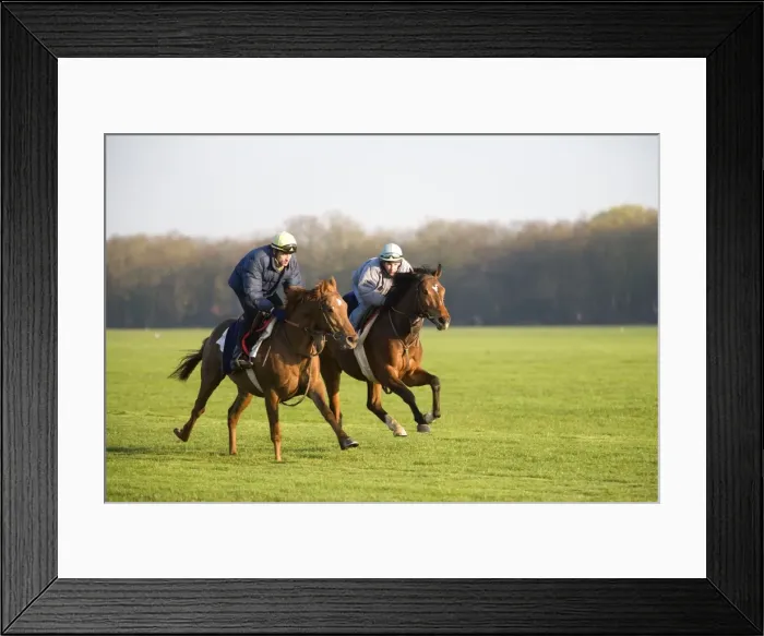 Framed Print : Picture No. 10770876