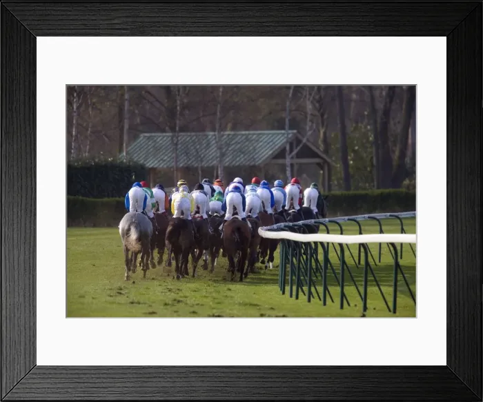 Framed Print : Picture No. 10770870 Framed Print : Picture No. 10770870