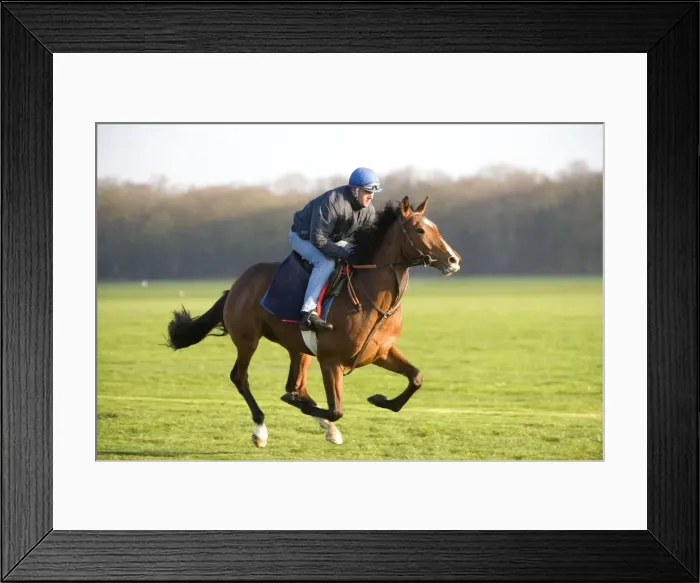 Framed Print : Picture No. 10770877 Framed Print : Picture No. 10770877
