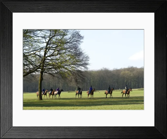 Framed Print : Picture No. 10770879 Framed Print : Picture No. 10770879