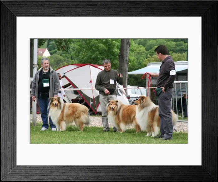 Framed Print : Picture No. 10771293 Framed Print : Picture No. 10771293