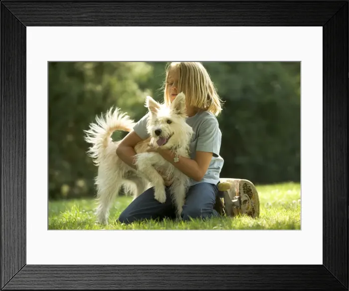 Framed Print : Picture No. 10771148 Framed Print : Picture No. 10771148