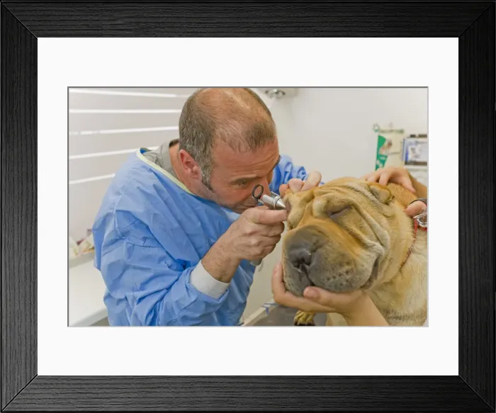 Framed Print : Picture No. 10771378 Framed Print : Picture No. 10771378