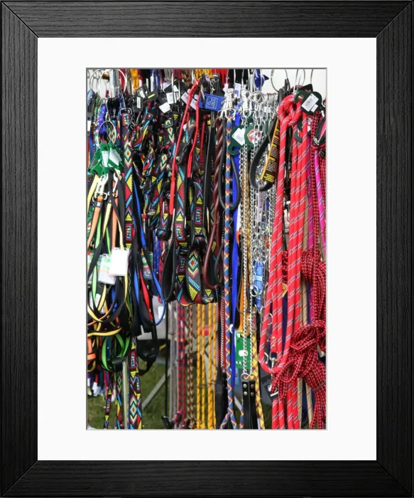 Framed Print : Picture No. 10771295 Framed Print : Picture No. 10771295