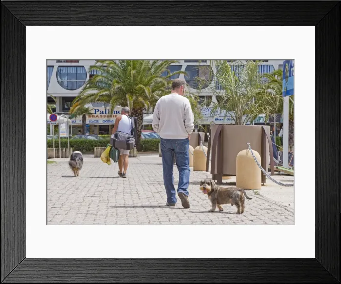 Framed Print : Picture No. 10771333 Framed Print : Picture No. 10771333