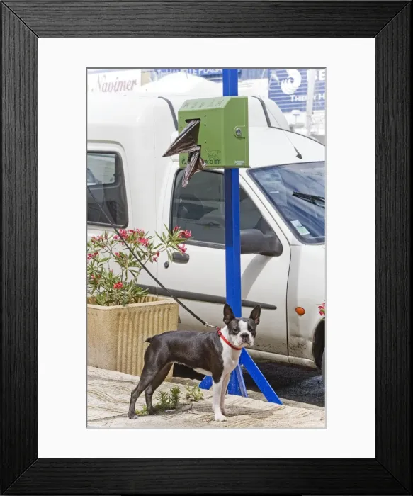 Framed Print : Picture No. 10771329 Framed Print : Picture No. 10771329