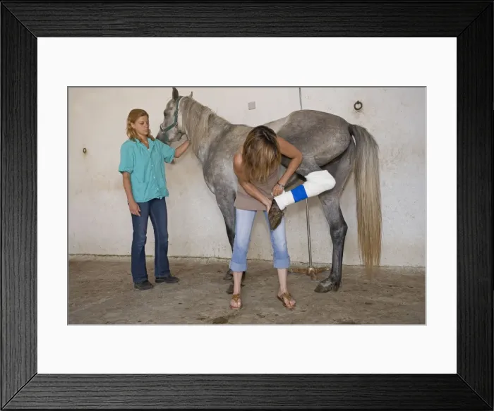 Framed Print : Picture No. 10771383 Framed Print : Picture No. 10771383