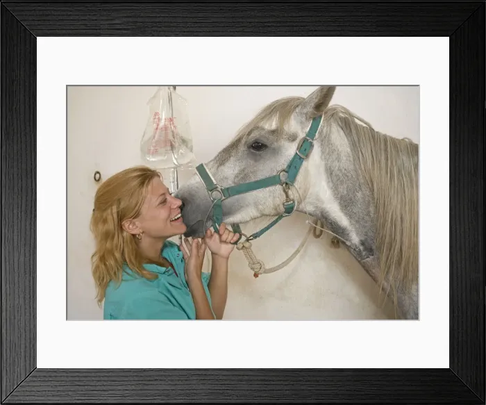 Framed Print : Picture No. 10771385 Framed Print : Picture No. 10771385