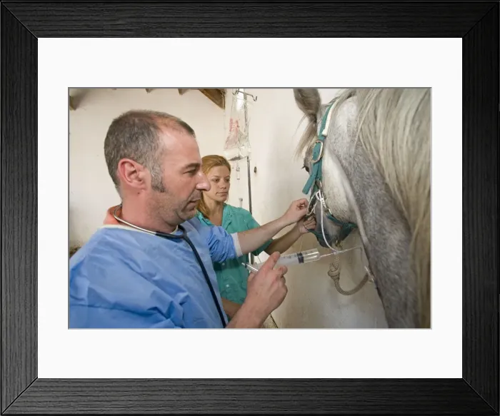 Framed Print : Picture No. 10771387 Framed Print : Picture No. 10771387