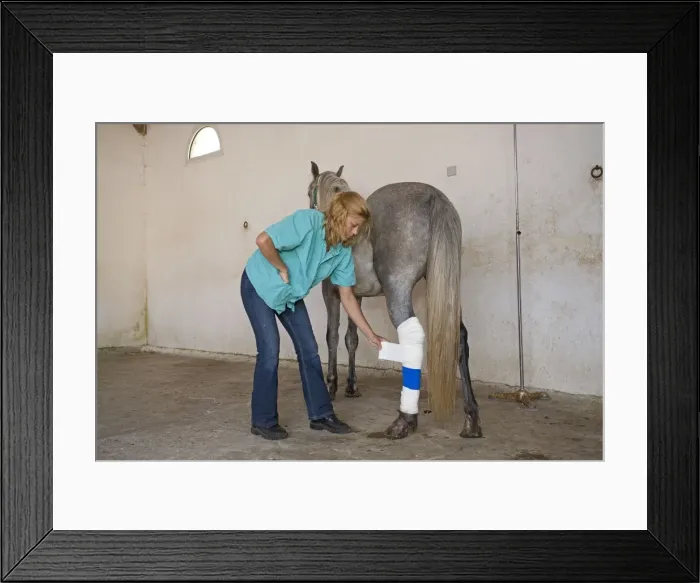 Framed Print : Picture No. 10771382 Framed Print : Picture No. 10771382