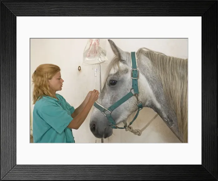 Framed Print : Picture No. 10771388 Framed Print : Picture No. 10771388