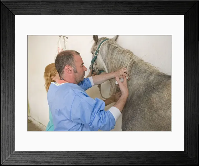 Framed Print : Picture No. 10771386 Framed Print : Picture No. 10771386