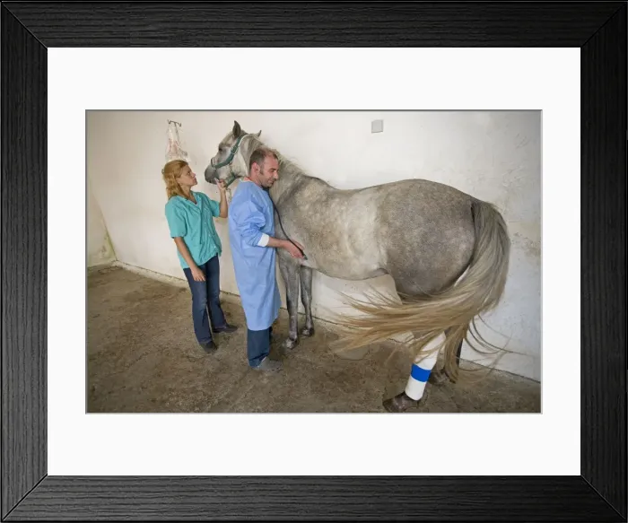 Framed Print : Picture No. 10771384 Framed Print : Picture No. 10771384