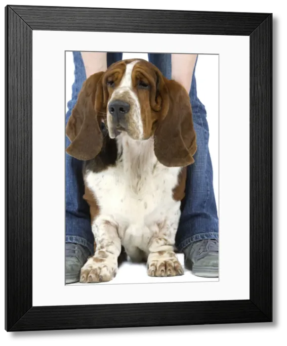 Framed Print : Picture No. 10771424 Framed Print : Picture No. 10771424