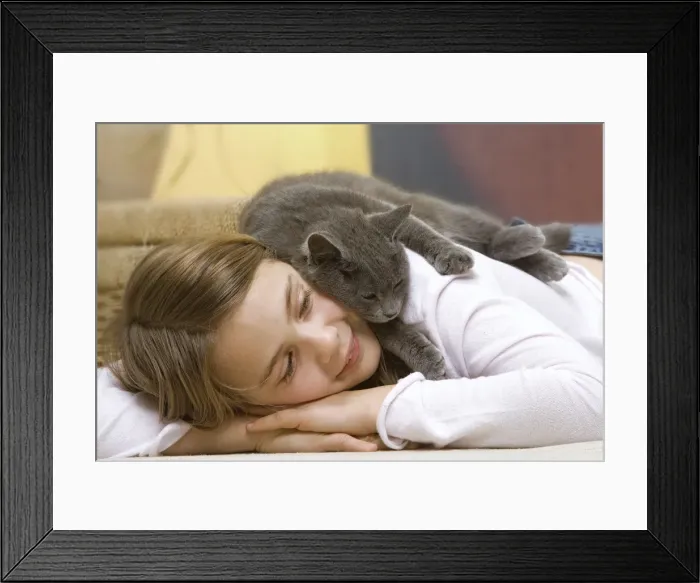 Framed Print : Picture No. 10771482 Framed Print : Picture No. 10771482