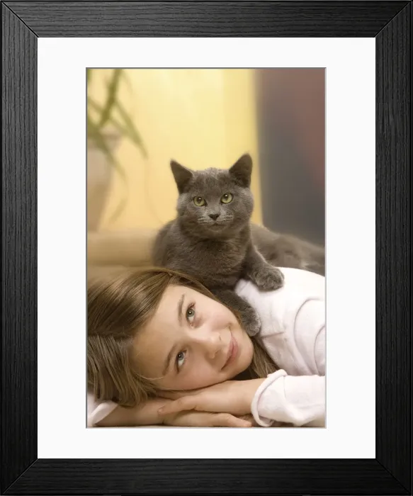 Framed Print : Picture No. 10771483 Framed Print : Picture No. 10771483