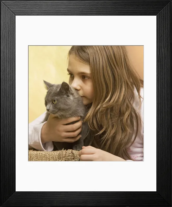 Framed Print : Picture No. 10771481