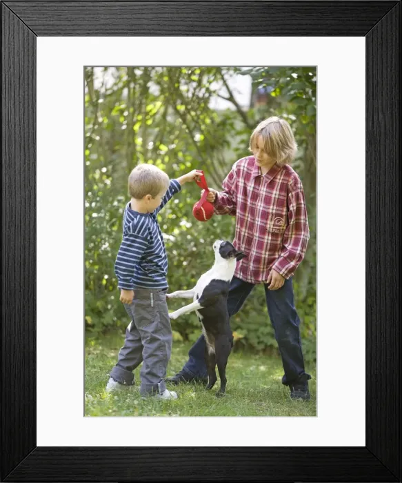 Framed Print : Picture No. 10771566 Framed Print : Picture No. 10771566
