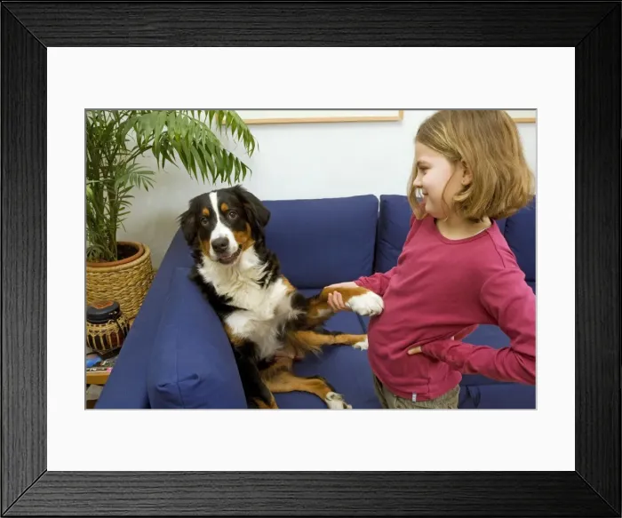 Framed Print : Picture No. 10771569 Framed Print : Picture No. 10771569