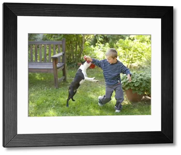Framed Print : Picture No. 10771564 Framed Print : Picture No. 10771564