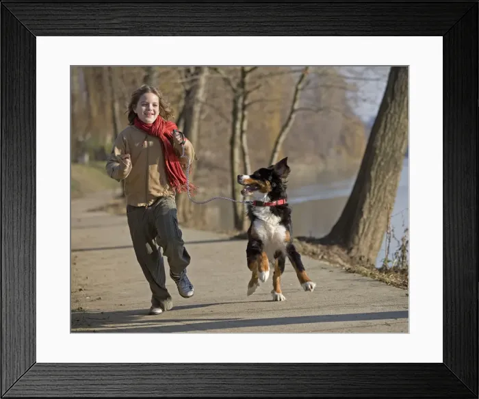 Framed Print : Picture No. 10771571 Framed Print : Picture No. 10771571