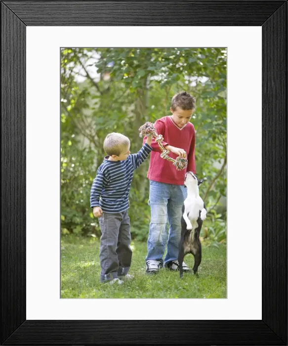 Framed Print : Picture No. 10771565 Framed Print : Picture No. 10771565