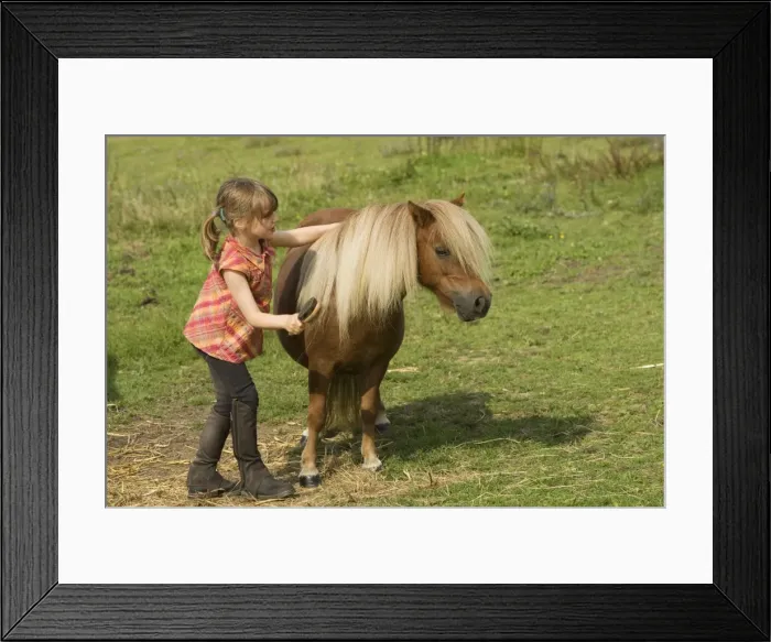 Framed Print : Picture No. 10771590 Framed Print : Picture No. 10771590