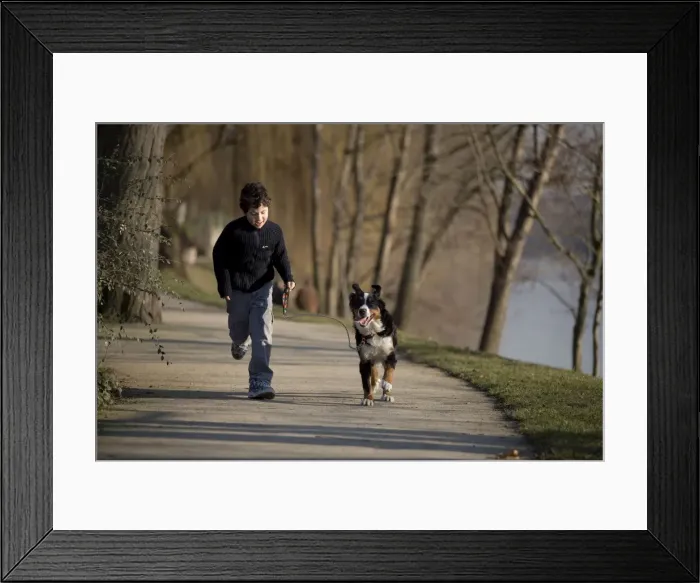 Framed Print : Picture No. 10771572 Framed Print : Picture No. 10771572