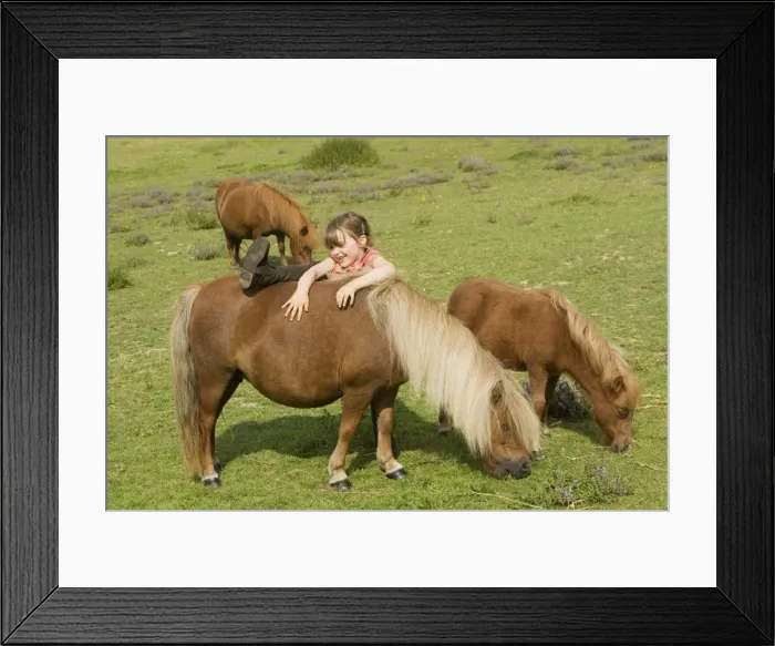 Framed Print : Picture No. 10771593 Framed Print : Picture No. 10771593
