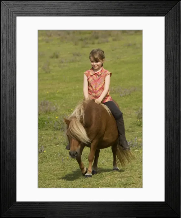 Framed Print : Picture No. 10771589 Framed Print : Picture No. 10771589