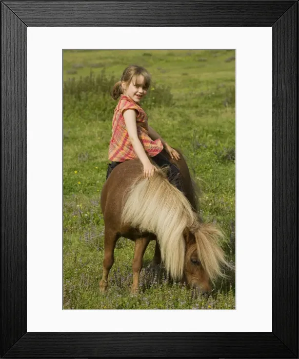 Framed Print : Picture No. 10771594 Framed Print : Picture No. 10771594