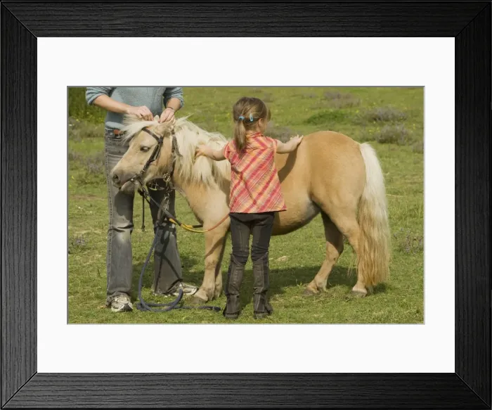 Framed Print : Picture No. 10771596 Framed Print : Picture No. 10771596